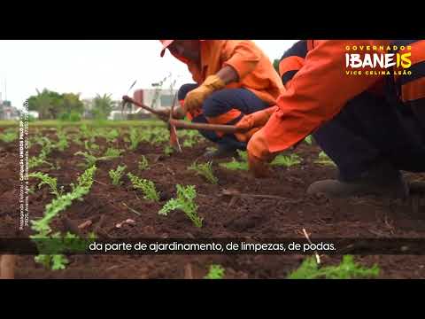 Ibaneis Rocha 15 - Inserção 13: Cuidar e dar emprego